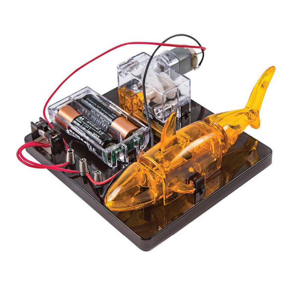 בניית רובוט - דג חשמלי - צעצועים ילדים ודרקונים