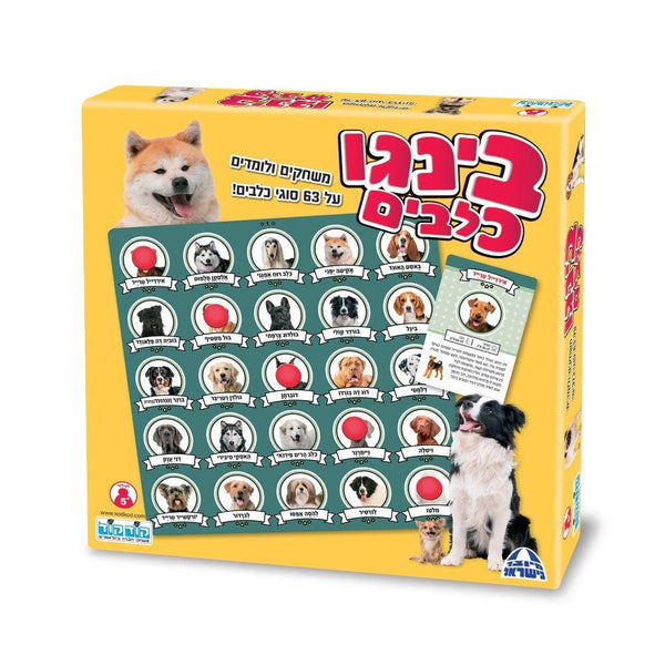 בינגו כלבים - קודקוד - צעצועים ילדים ודרקונים