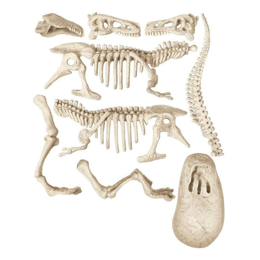 ארכיאולוגיה דינוזאור טי-רקס - Clementoni - צעצועים ילדים ודרקונים