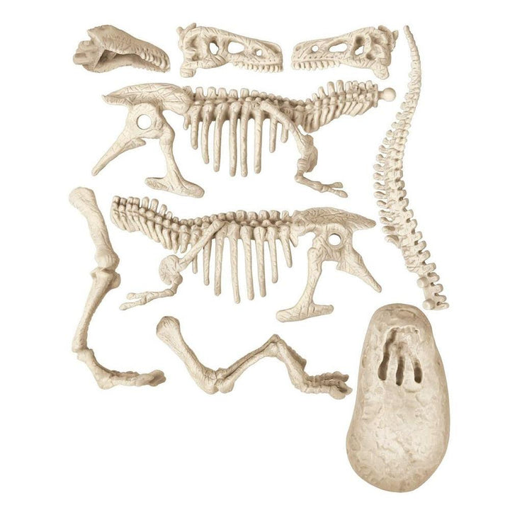 ארכיאולוגיה דינוזאור ולוצירפטור - Clementoni - צעצועים ילדים ודרקונים