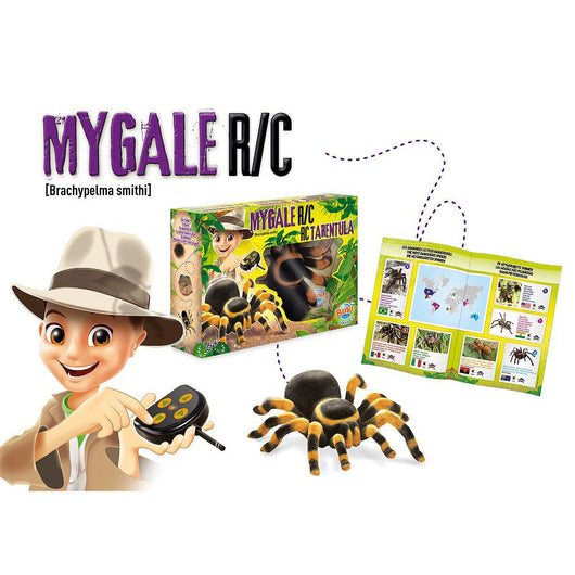 עכביש טרנטולה עם שלט מבית Buki france - צעצועים ילדים ודרקונים