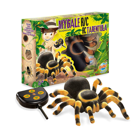 עכביש טרנטולה עם שלט מבית Buki france - צעצועים ילדים ודרקונים